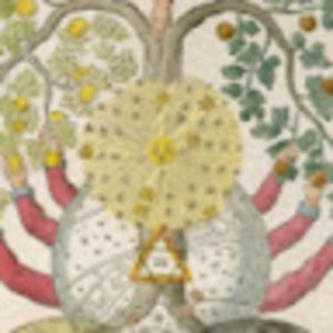 Meet your Posher, Jayne